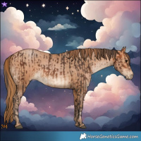 Horse Color:Bay  and Bay Pearl 