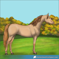 Horse Color:Red Dun