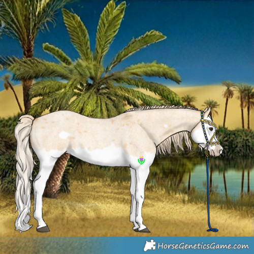 Horse Color:Red Dun Roan Splash Frame Rabicano