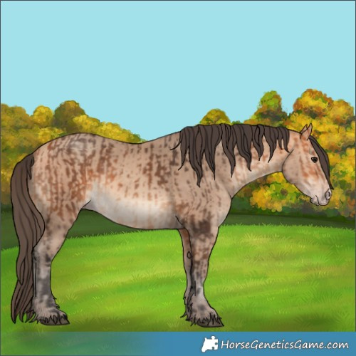 Horse Color:Bay and Amber Champagne