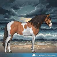 Horse Color:Bay Tobiano