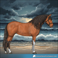 Horse Color:Bay Tobiano