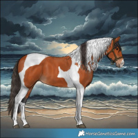 Horse Color:Bay Tobiano