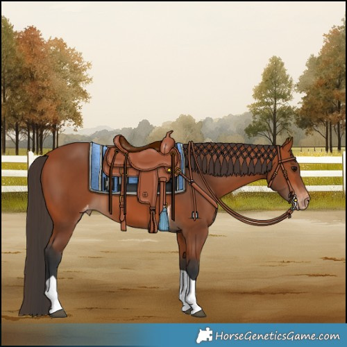 Horse Color:Bay Tobiano Varnish