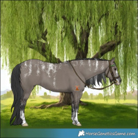 Horse Color:Powder White Grullo 