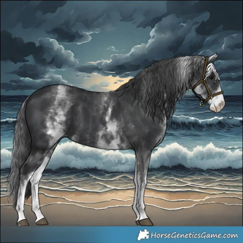 Horse Color:White Spotted Black