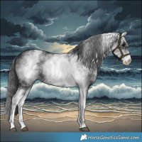 Horse Color:White Spotted Black 