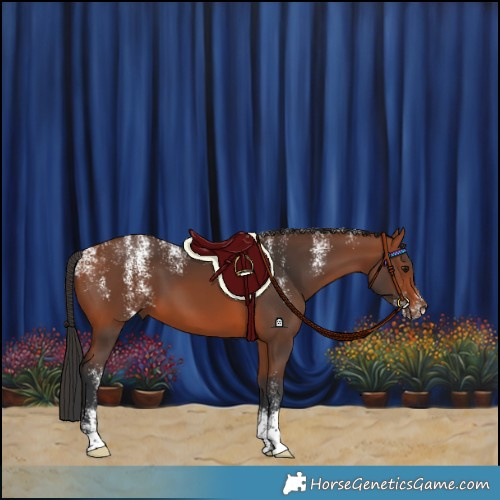 Horse Color:Powder White Bay