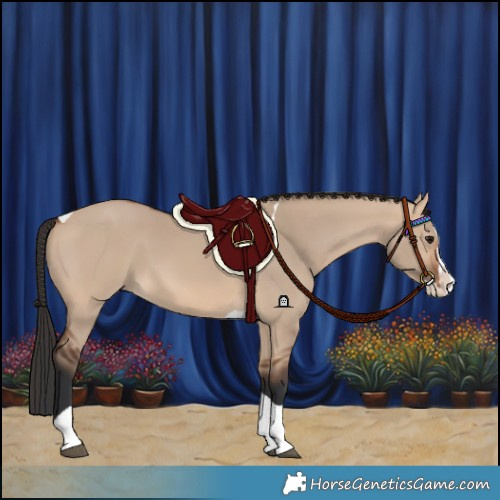 Horse Color:Bay Dun Splash Tobiano 