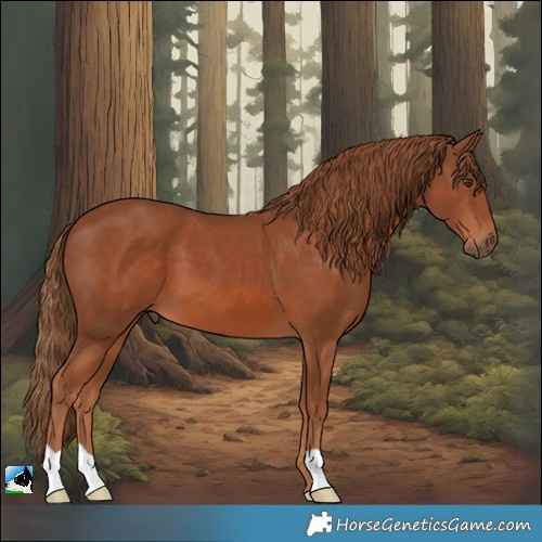 Horse Color:Chestnut 