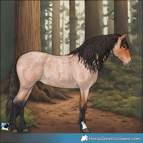 Horse Color:Bay Roan 