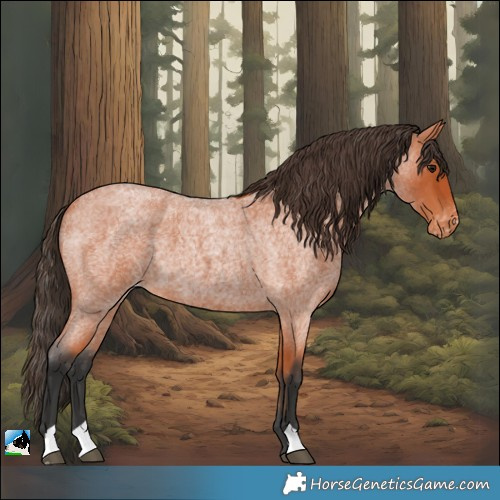 Horse Color:Bay Roan Varnish 