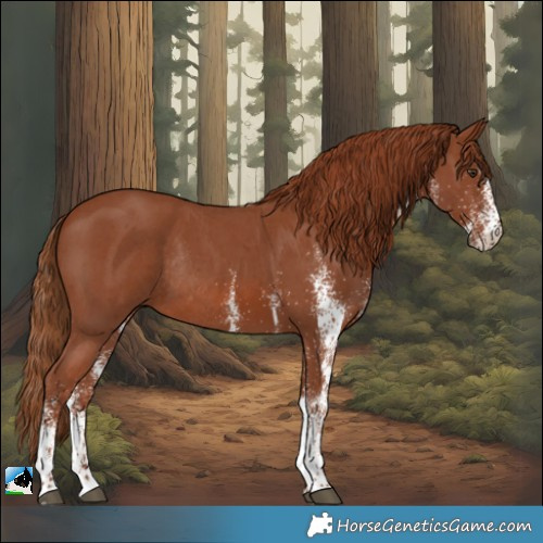 Horse Color:White Spotted Chestnut Rabicano 