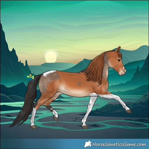 Horse Color:Brown Dun Tobiano  and Chestnut Tobiano 