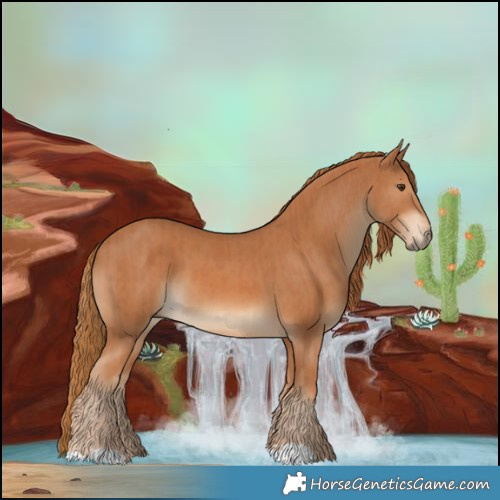 Horse Color:Chestnut and Chestnut