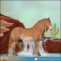 Horse Color:Chestnut  and Chestnut 