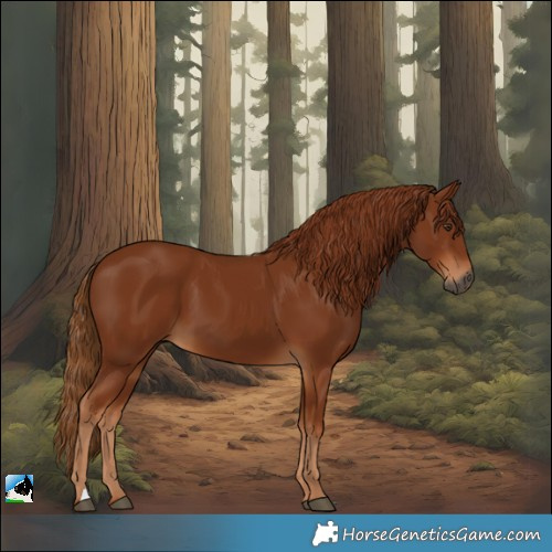 Horse Color:Gray Chestnut