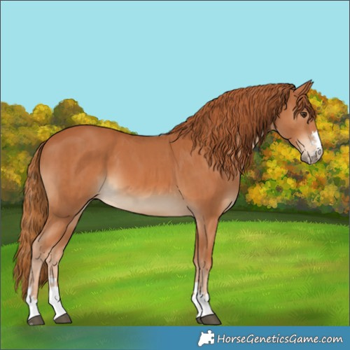 Horse Color:Chestnut  and Chestnut 