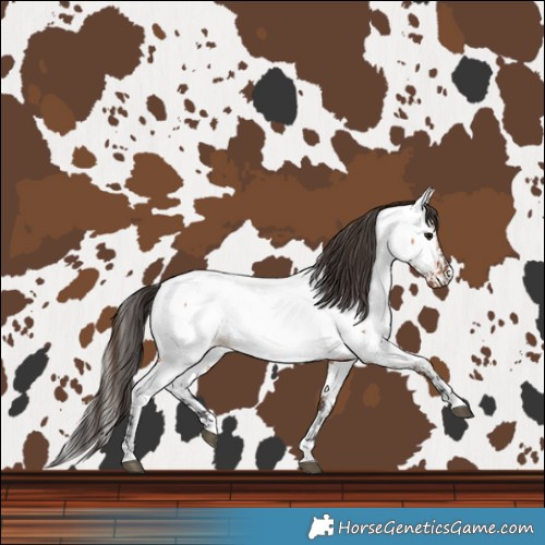 Horse Color:Bay Near Fewspot  and Bay Near Fewspot 