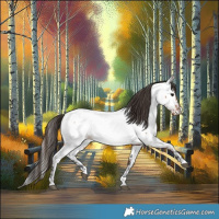 Horse Color:Bay Near Fewspot  and Bay Near Fewspot 