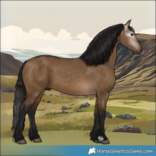 Horse Color:Gray Bay Dun 