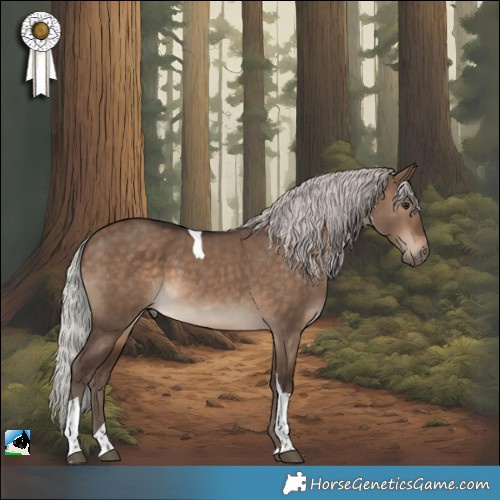 Horse Color:Silver Brown Dun Tobiano