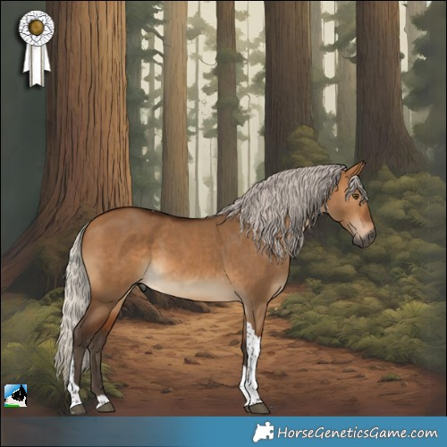 Horse Color:Gray Silver Bay Dun Tobiano