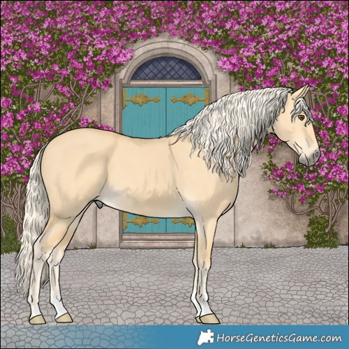 Horse Color:Palomino Dun
