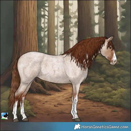 Horse Color:White Spotted Red Dun Roan