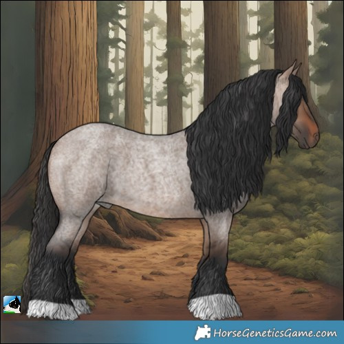 Horse Color:Brown Roan Dun