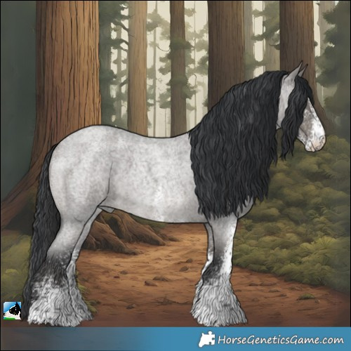 Horse Color:White Spotted Grullo Roan