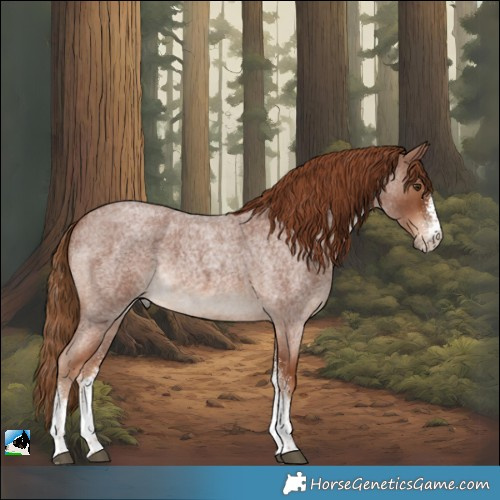 Horse Color:White Spotted Red Roan