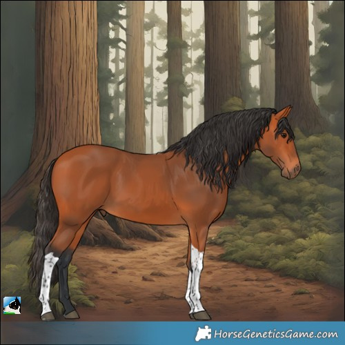Horse Color:Bay Tobiano