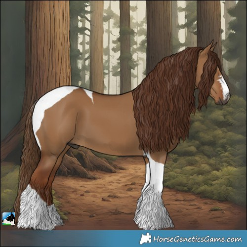 Horse Color:Gray Red Dun Tobiano