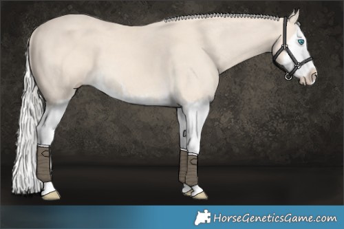 Horse Color:Cremello Splash  and Cremello Splash 