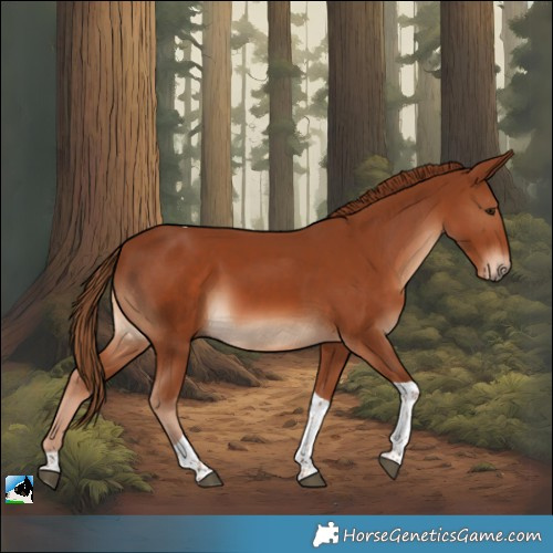 Horse Color:Chestnut Tobiano 