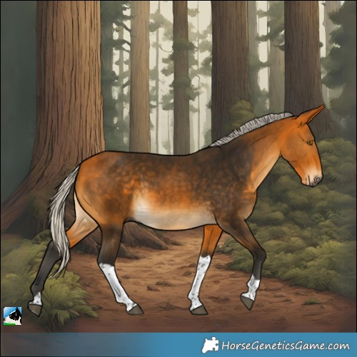 Horse Color:Gray Silver Buckskin Tobiano 