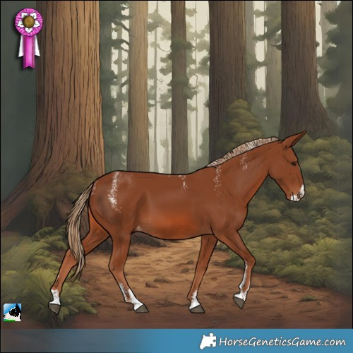 Horse Color:Powder White Chestnut Splash Appaloosa