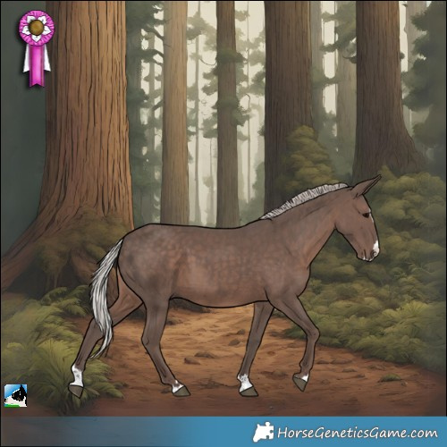 Horse Color:Silver Black Splash