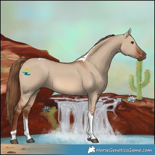 Horse Color:Red Dun Sabino Tobiano