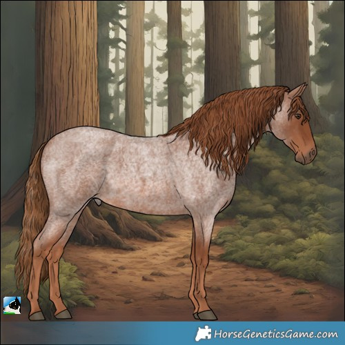 Horse Color:Red Roan Rabicano
