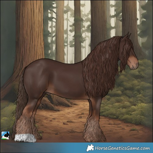 Horse Color:Liver Chestnut