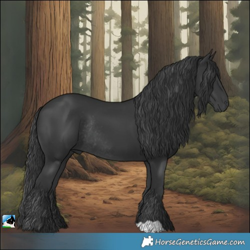Horse Color:Black Rabicano
