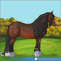 Horse Color:Unknown 
