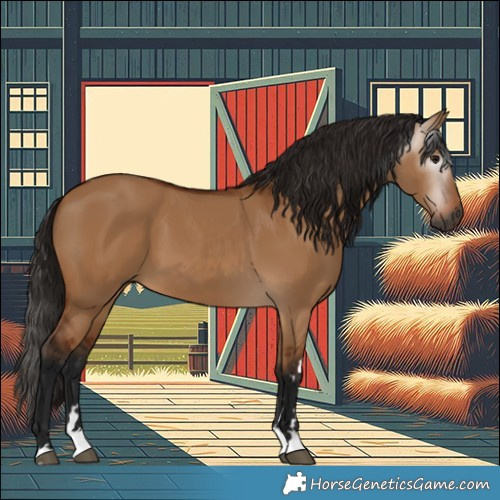 Horse Color:Gray Bay Dun