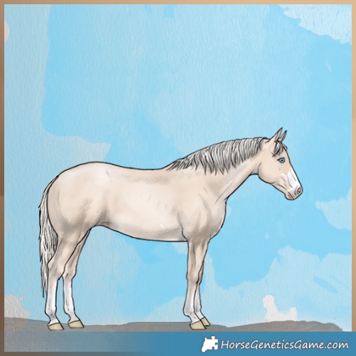 Horse Color:Gold Cream Champagne Pearl