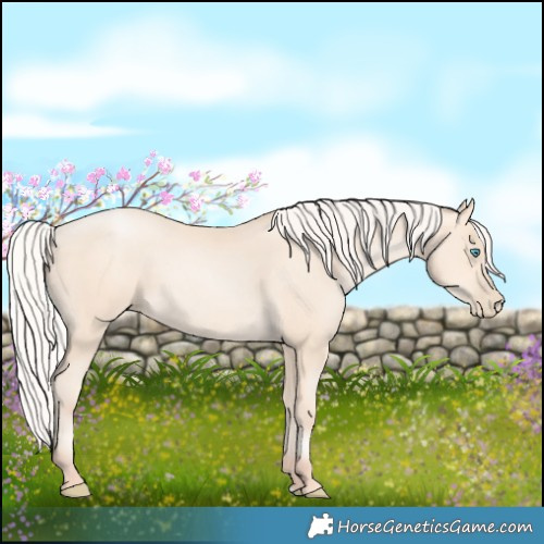Horse Color:Silver Amber Cream Champagne Pearl 