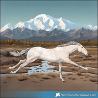 Horse Color:Gold Cream Champagne Pearl Blanket 