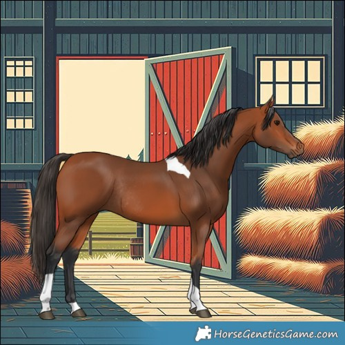 Horse Color:Bay Tobiano Rabicano 