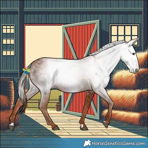 Horse Color:Gray Chestnut 
